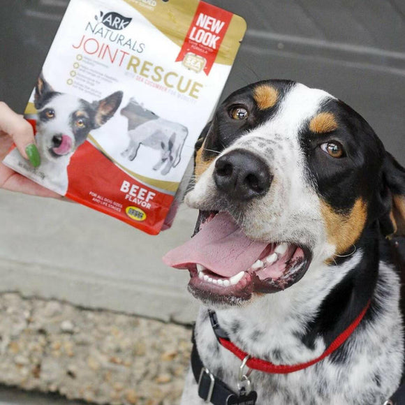Ark Naturals Joint Rescue Mobility Support Beef Jerky Strips For Dogs (9 oz)
