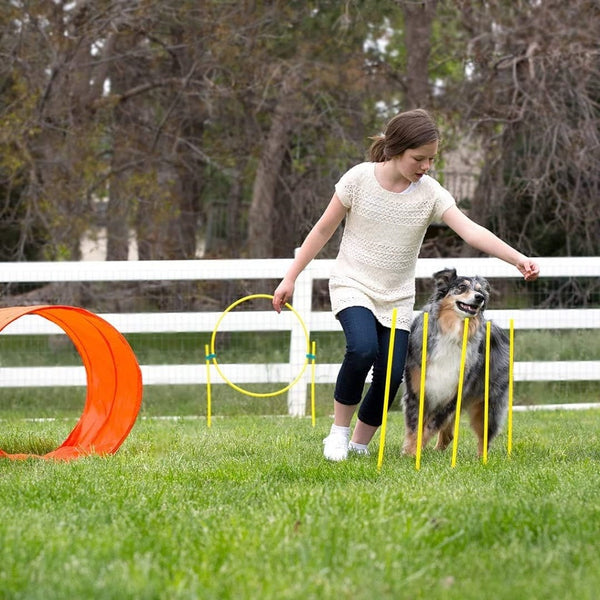 Outward Hound Zip and Zoom Agility Kit For Dogs Outdoor (34 pc)