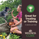 Wellness CORE Tiny Trainers Tender Grain Free Lamb & Apple Dog Treats (6 oz)