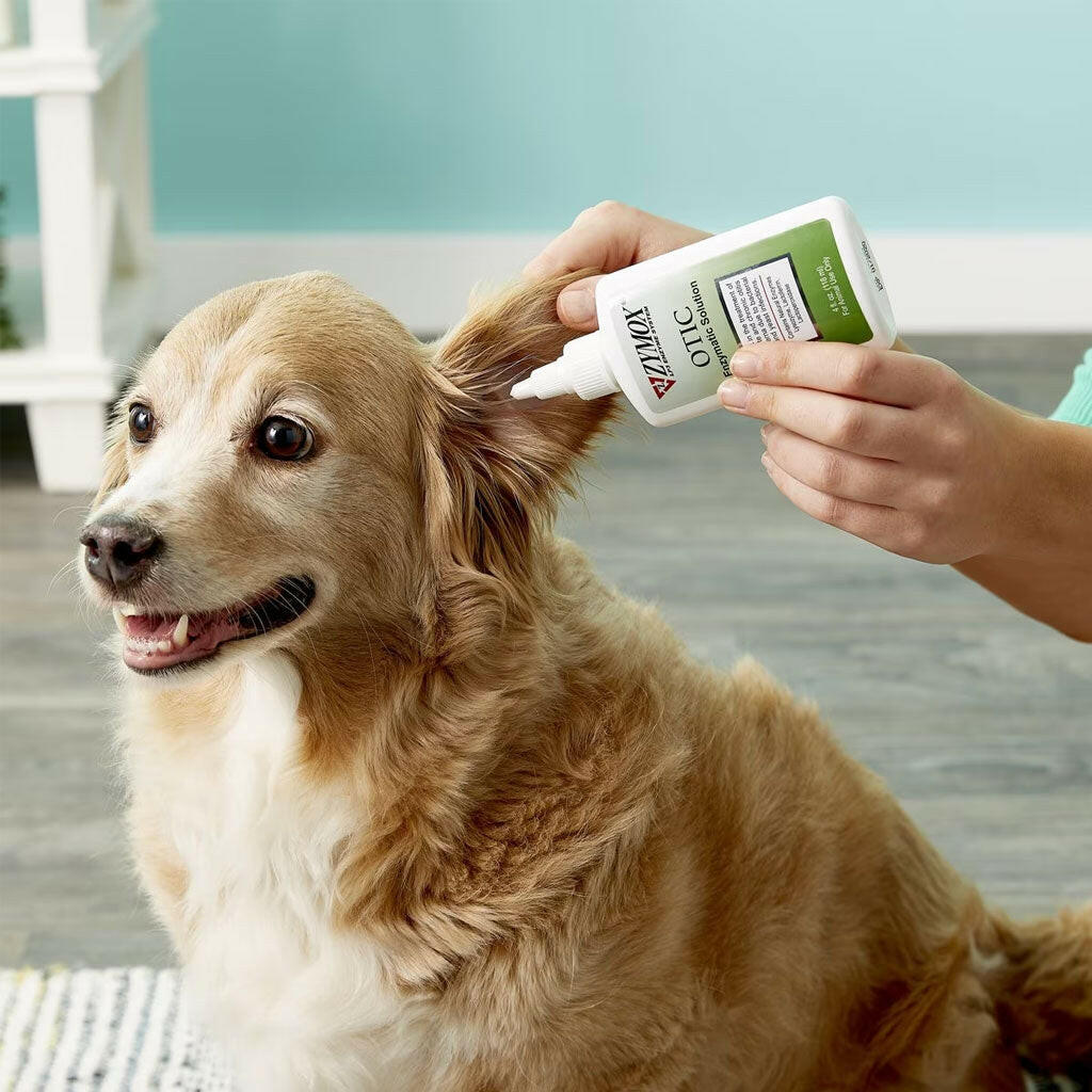 zymox otic enzymatic solution with dogs