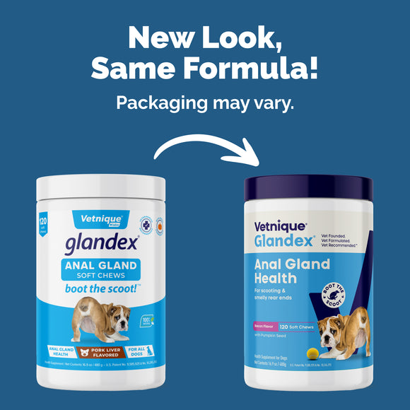 Glandex Anal Gland Support Bacon Flavored Soft Chews for Dogs