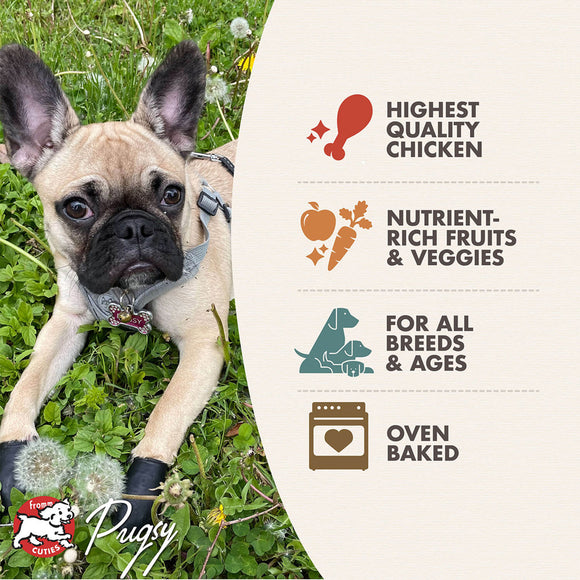 Dog lying on grass with a Pugsy pet food product label in the background