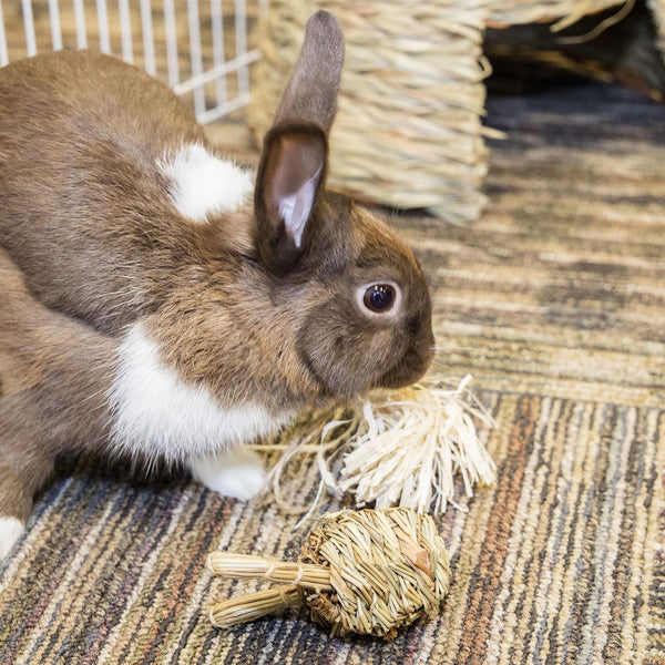 Ware Fun-E-Bunny Toy for Small Animals