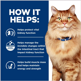 Hill's Prescription Diet k/d + j/d Kidney + Mobility Chicken Flavor Dry Cat Food