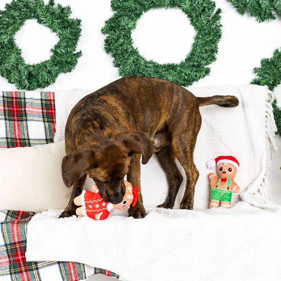 Dog playing with Christmas-themed toys on a decorated couch with wreaths in the background.
