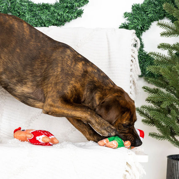 Dog playing with a toy in front of a Christmas tree
