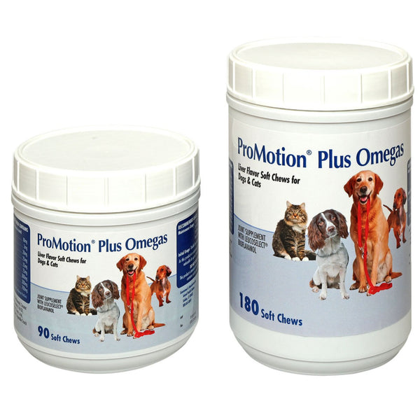 ProMotion Plus Omegas Joint Supplement for Cats & Dogs family