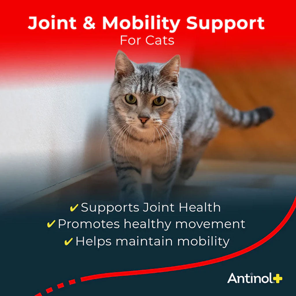 Antinol+ Plus Enhanced Daily Joint and Mobility Support for Cats