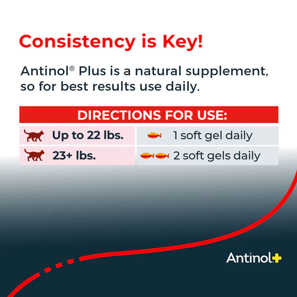 Antinol+ Plus Enhanced Daily Joint and Mobility Support for Cats