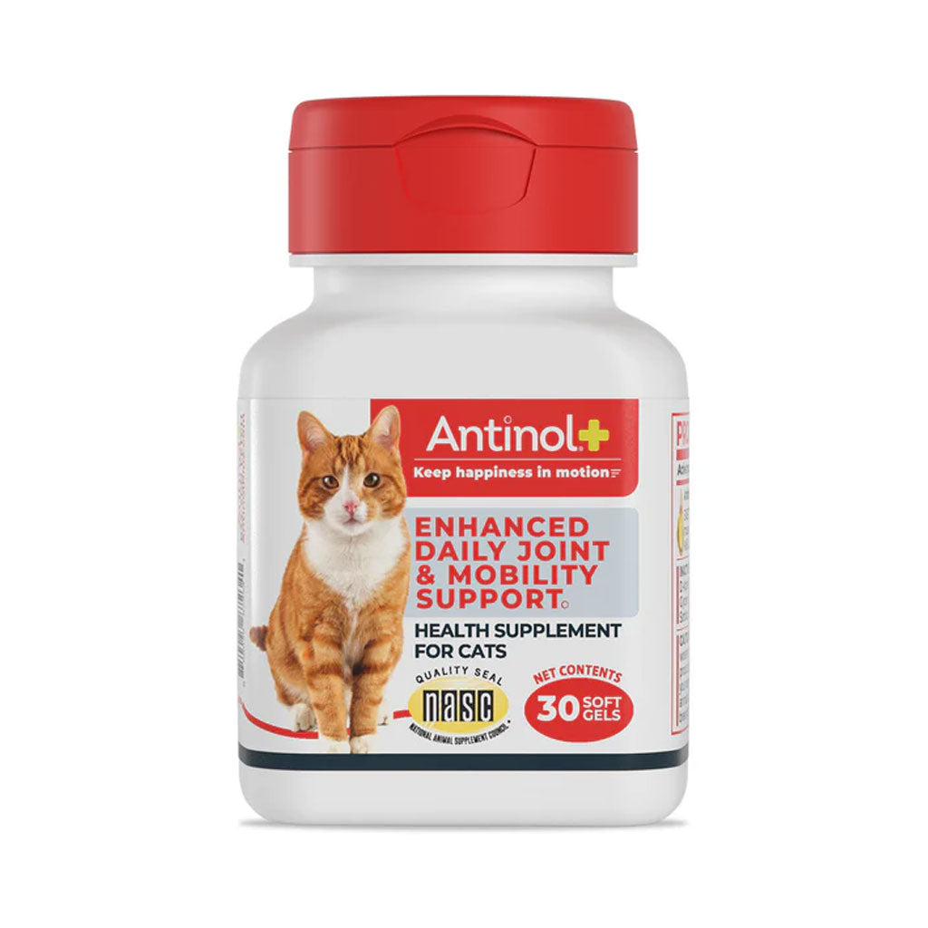 Antinol+ Plus Enhanced Daily Joint and Mobility Support for Cats, 30 Soft Gels