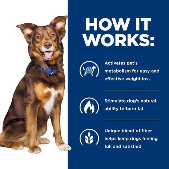 Hill's Prescription Diet Metabolic Weight Management Vegetables, Beef & Rice Stew Wet Dog Food (2.8 oz x 24 pouches)