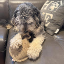 Ethical Pet Spot Dura-Fused Leather Dog Toy Raccoon