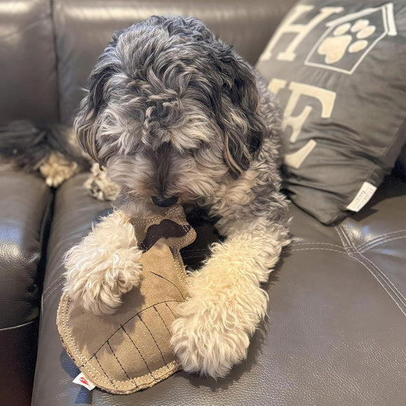 Ethical Pet Spot Dura-Fused Leather Dog Toy Raccoon