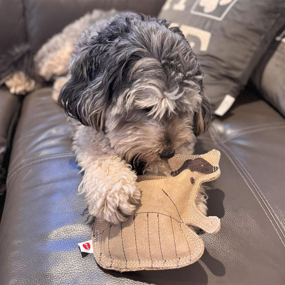 Ethical Pet Spot Dura-Fused Leather Dog Toy Raccoon