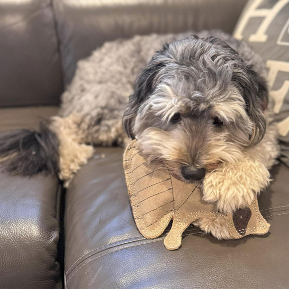 Ethical Pet Spot Dura-Fused Leather Dog Toy Raccoon