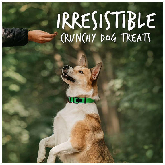 Fruitables Dog Treats Pumpkin & Apple Flavor (7 oz)