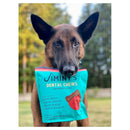 Jiminy's Dental Chews for Large Dogs (7 ct)