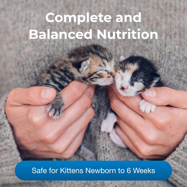 kmr milk replacer for kittens