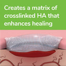 Episanis Biohance Skin & Wound Gel for Dogs & Cats