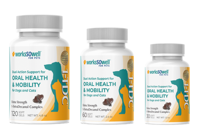 20% Off Autoship Pet Dental Health Month