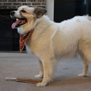 Ethical Pet Spot Dura-Fused Leather Retriever Dog Toy