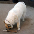 Ethical Pet Spot Dura-Fused Leather Retriever Dog Toy