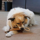 Ethical Pet Spot Dura-Fused Leather Retriever Dog Toy