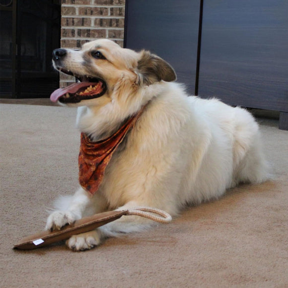 Ethical Pet Spot Dura-Fused Leather Retriever Dog Toy