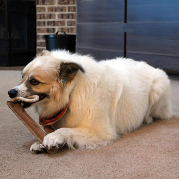 Ethical Pet Spot Dura-Fused Leather Retriever Dog Toy