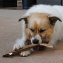 Ethical Pet Spot Dura-Fused Leather Retriever Dog Toy