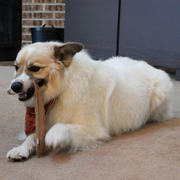 Ethical Pet Spot Dura-Fused Leather Retriever Dog Toy