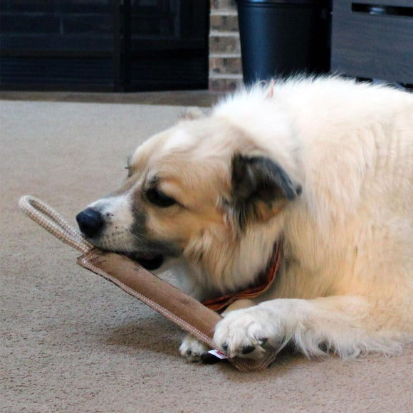 Ethical Pet Spot Dura-Fused Leather Retriever Dog Toy