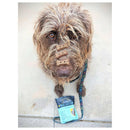 Jiminy's Original Cricket Cookie Recipe For Dog Treats (5 oz)