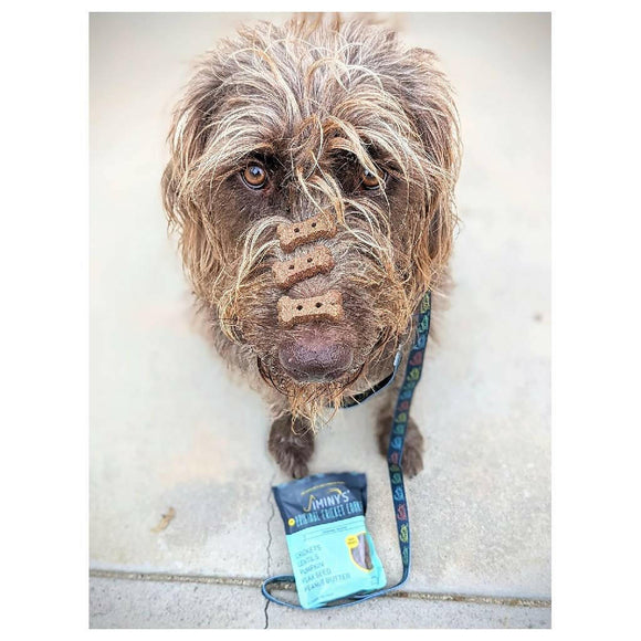 Jiminy's Original Cricket Cookie Recipe For Dog Treats (5 oz)