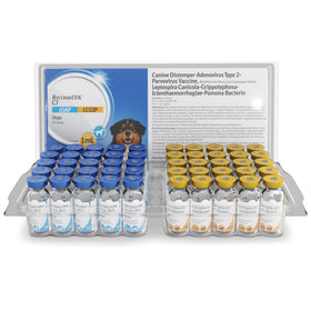 Recombitek C7 (rDAP-LCGIP) for Dogs, 1 dose x 25