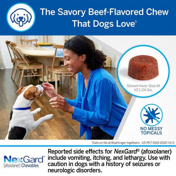 NexGard Chew for Dogs 4-10 lbs  beef flavor