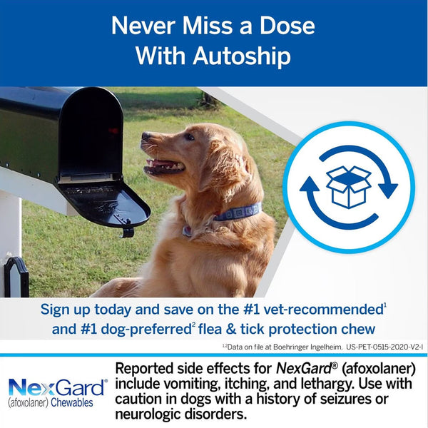 NexGard Chew for Dogs 4-10 lbs  autoship