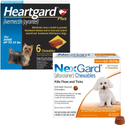 Heartgard Plus + NexGard 6-Month Bundle