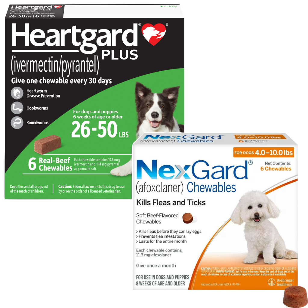 Heartgard Plus + NexGard 6-Month Bundle