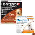 Heartgard Plus + NexGard 6-Month Bundle