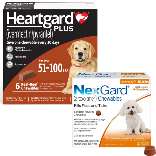 Heartgard Plus + NexGard 6-Month Bundle