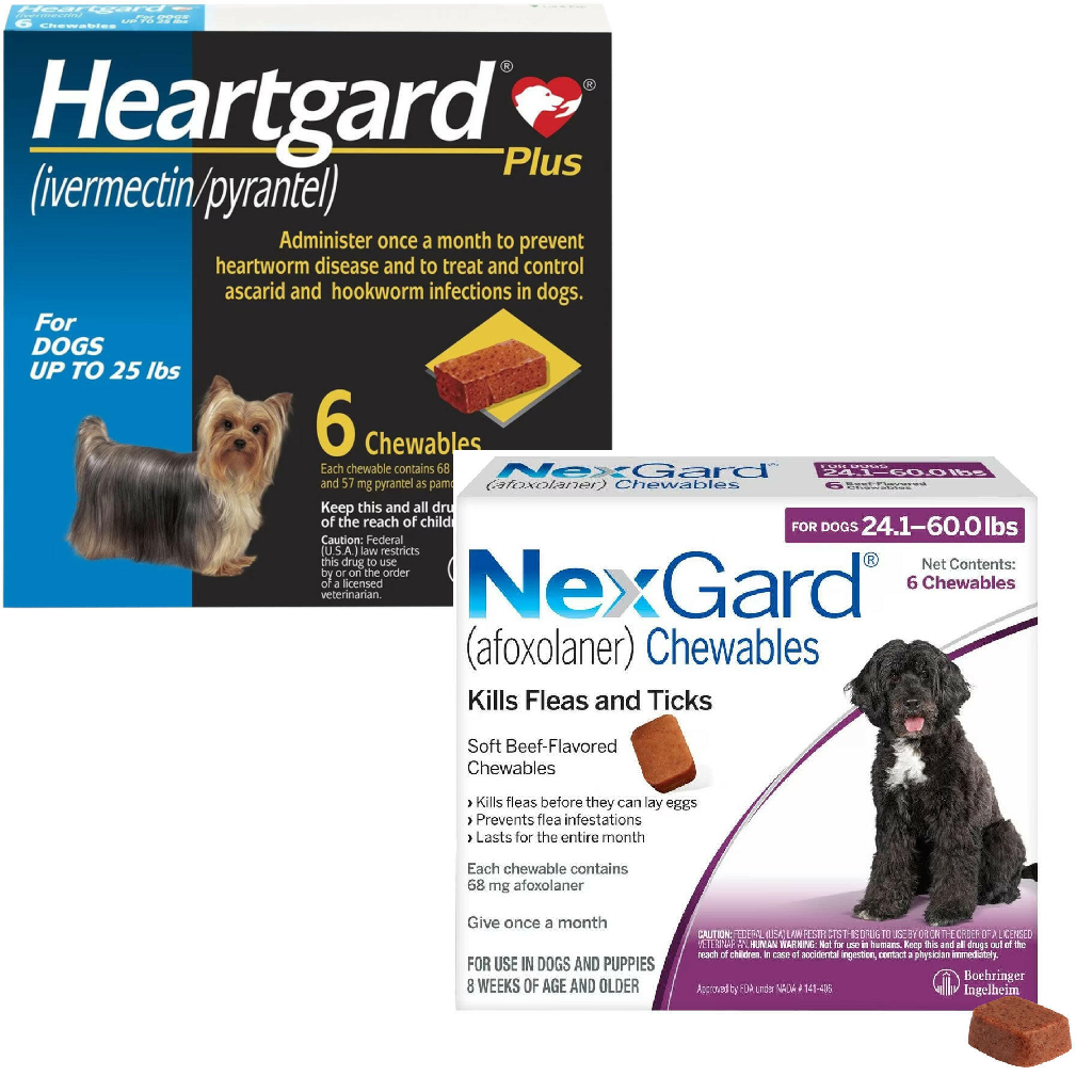 Heartgard Plus + NexGard 6-Month Bundle