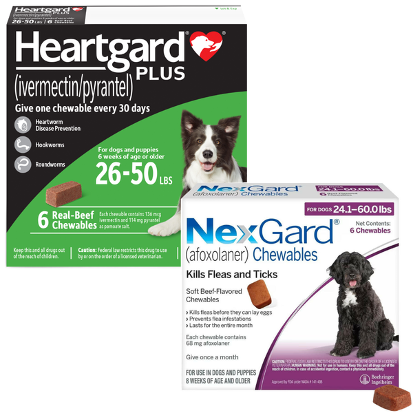 Heartgard Plus + NexGard 6-Month Bundle