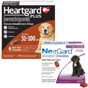 Heartgard Plus + NexGard 6-Month Bundle