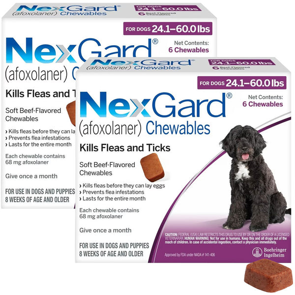 NexGard Chew for Dogs 24.1-60 lbs 12 chews