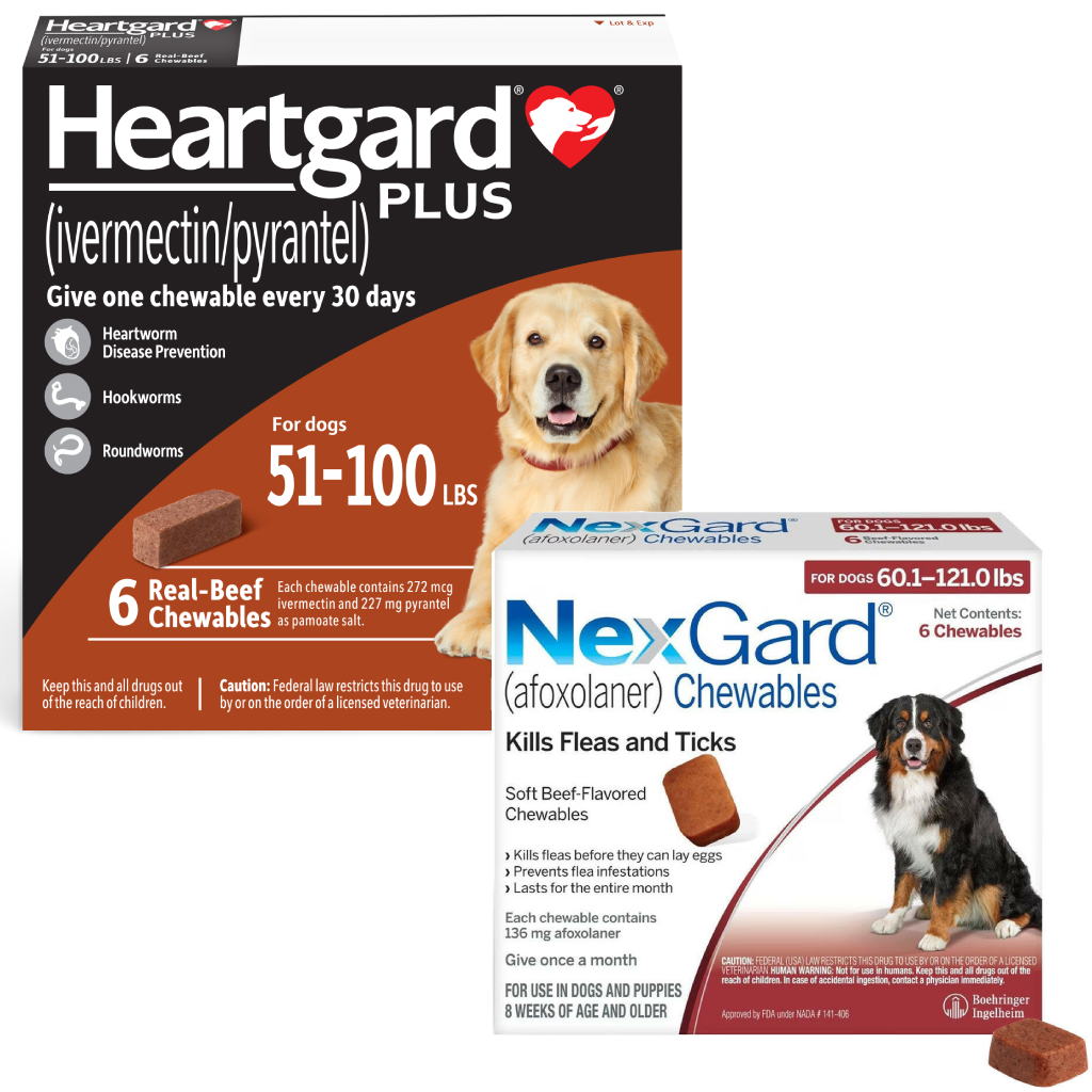 Heartgard Plus + NexGard 6-Month Bundle