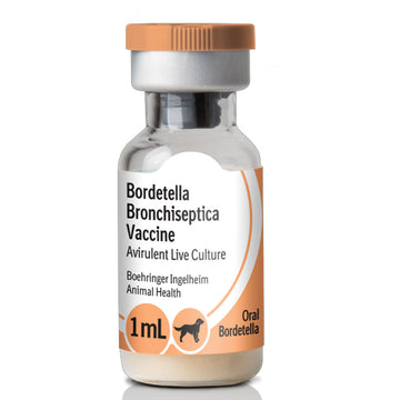 Recombitek Oral Bordetella for Dogs, 1 ml 