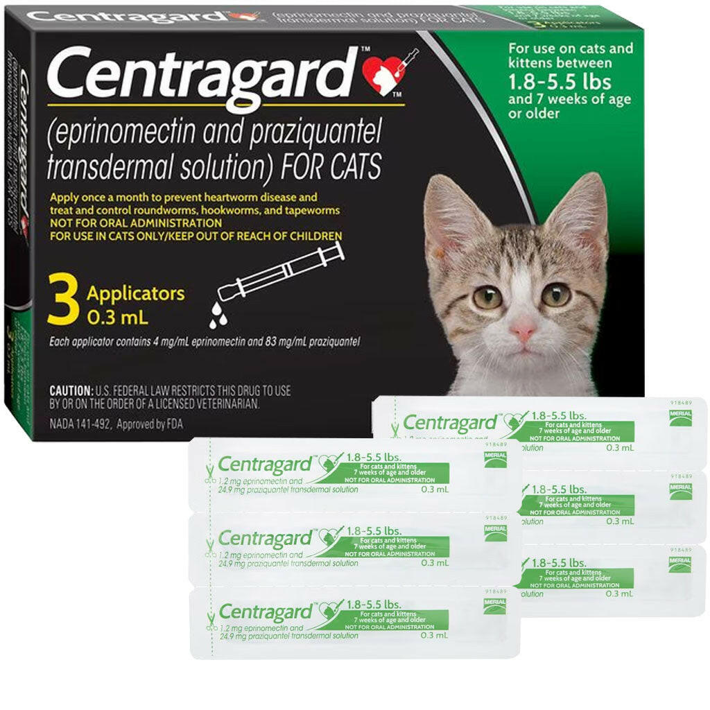 heartworm disease in cats