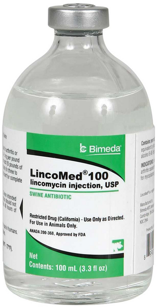 LincoMed 100 (lincomycin injection) Swine Antibiotic (100 ml)