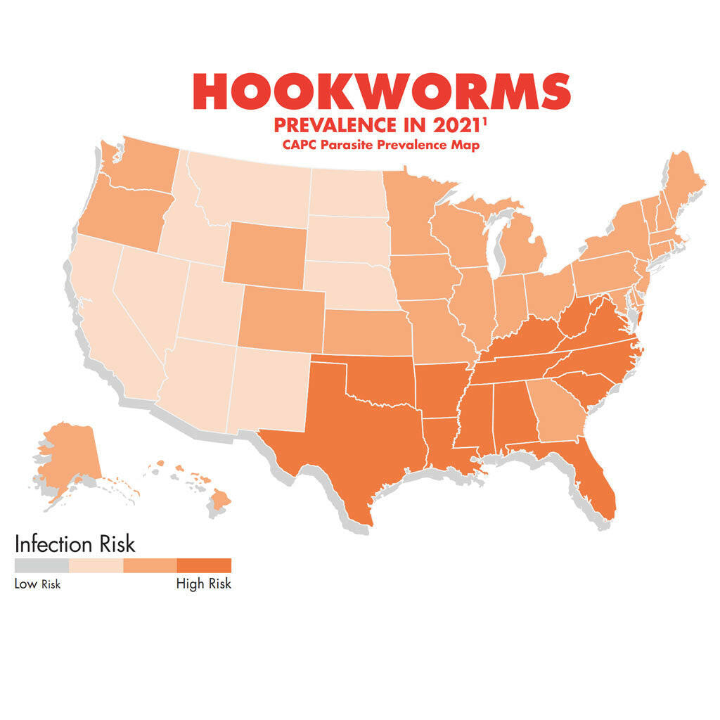 Heartgard Plus Chew for Dogs, up to 25 lbs hookworms map